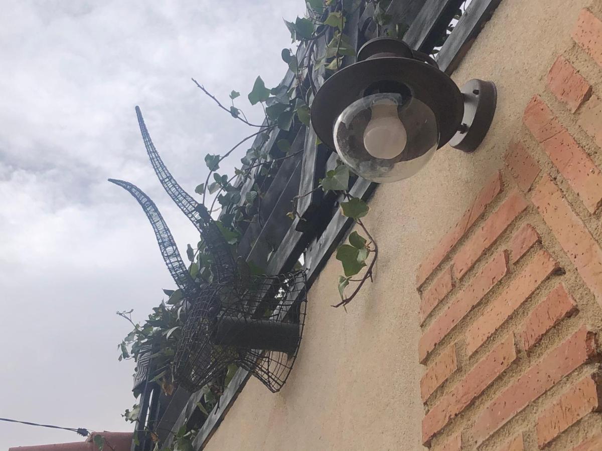 Casa Rural Atelier - Jardin Y Terraza Velliza ภายนอก รูปภาพ